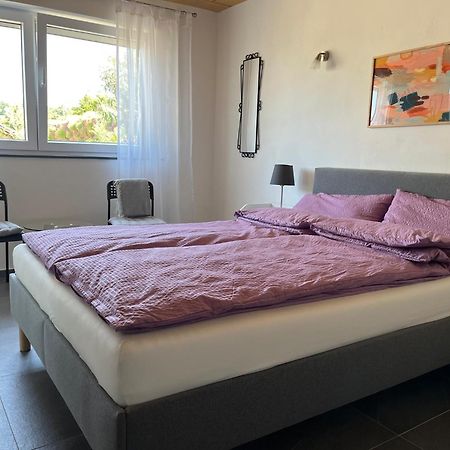 Apartment 100 Qm Im Weindorf - Balkon/Garage Aspisheim Kültér fotó