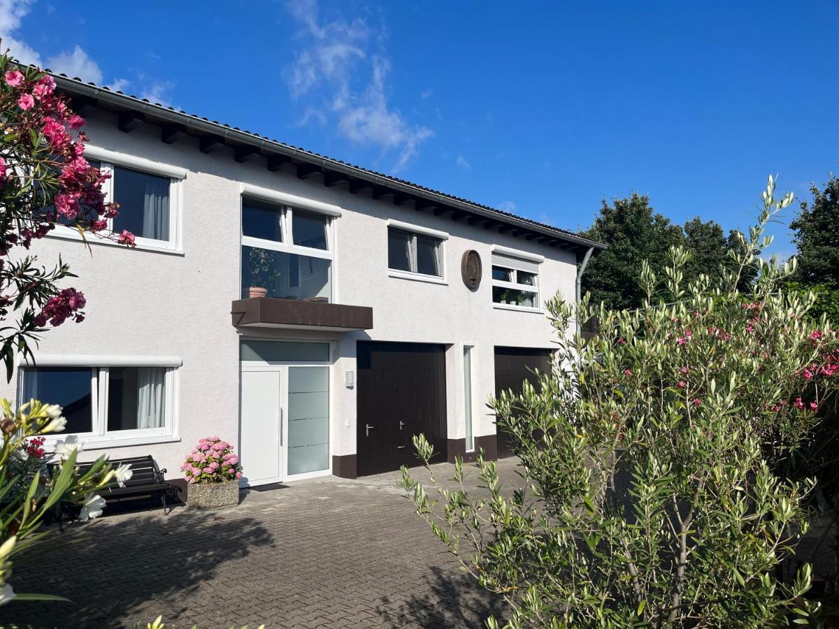 Apartment 100 Qm Im Weindorf - Balkon/Garage Aspisheim Kültér fotó