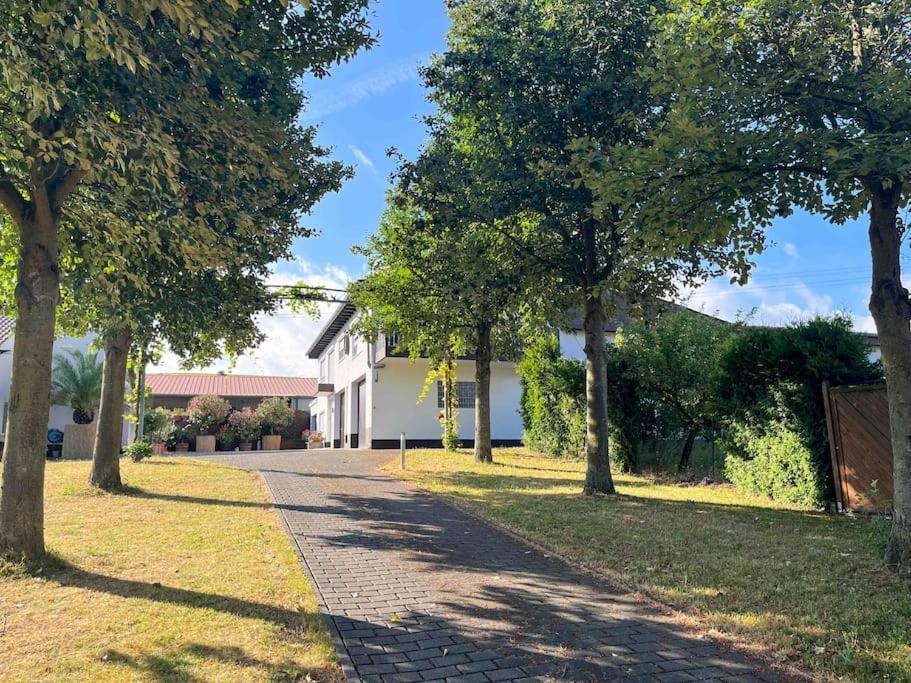 Apartment 100 Qm Im Weindorf - Balkon/Garage Aspisheim Kültér fotó