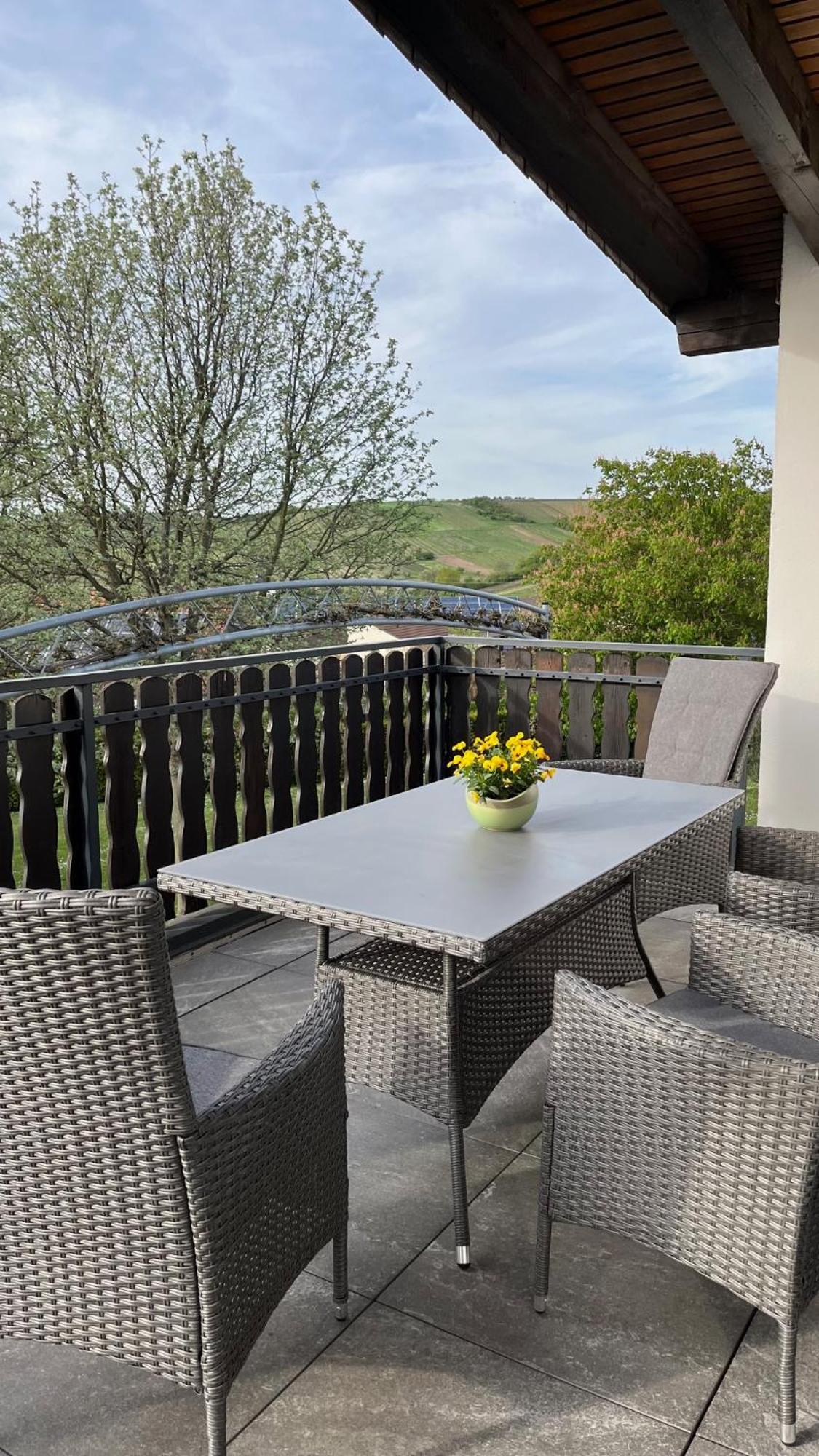 Apartment 100 Qm Im Weindorf - Balkon/Garage Aspisheim Kültér fotó